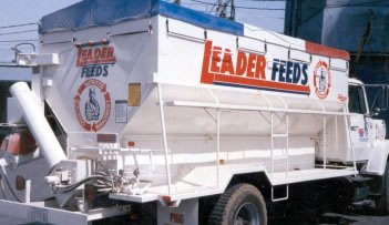All Vehicle Graphics and Lettering 