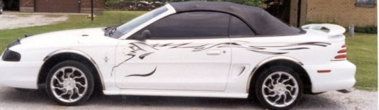 All Vehicle Graphics and Lettering 
