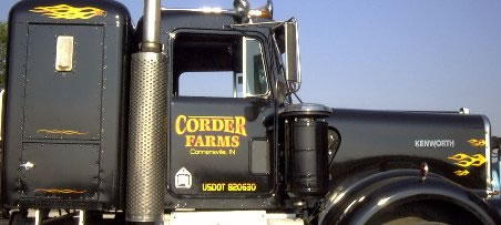 All Vehicle Graphics and Lettering 